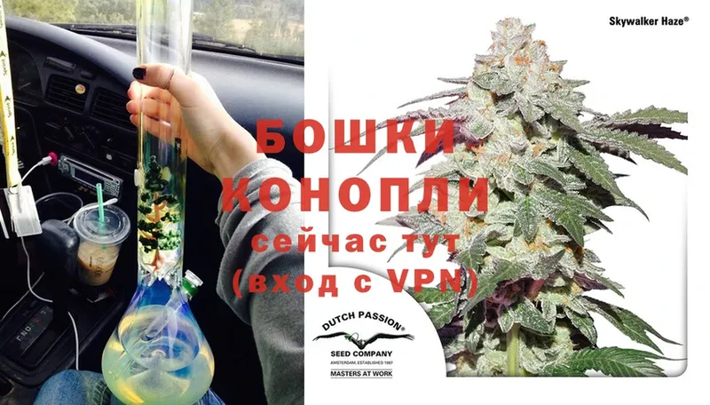 Бошки Шишки Bruce Banner  Тайга 